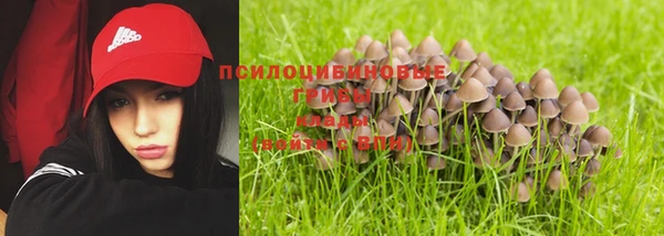 эйфоретик Армянск